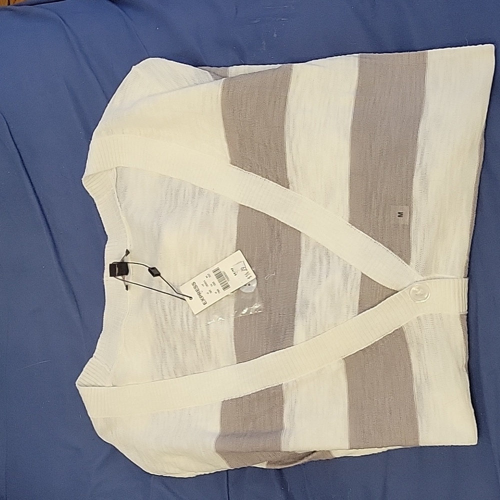 Express Stripped sweater